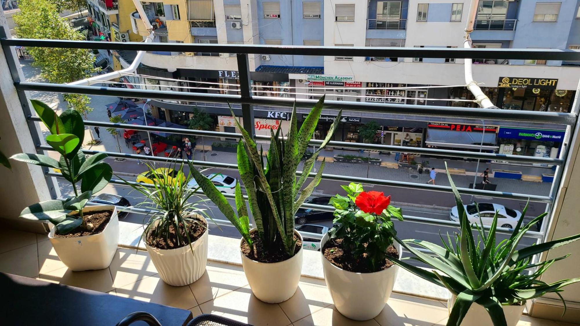 טיראנה Marinela Apartment מראה חיצוני תמונה